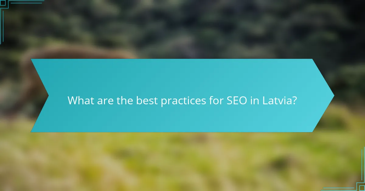 What are the best practices for SEO in Latvia?